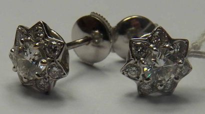 Paire de boutons d'oreilles en or gris formant...