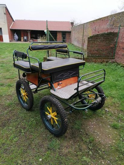 VOITURE HIPPOMOBILE du constructeur spécialisé...