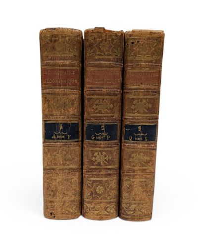 AYNES (François David). 
Nouveau dictionnaire...