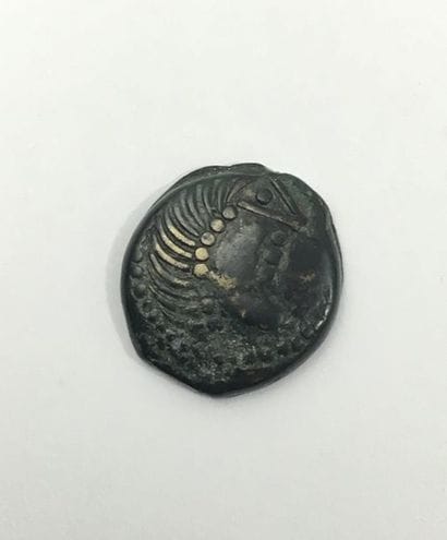 Gauloises. Carnutes Bronze Trésor de Brionne...