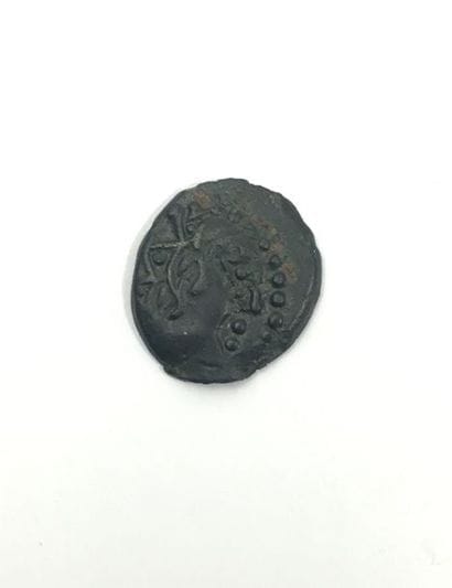 Gauloises. Carnutes Bronze à l’aigle (Lt...