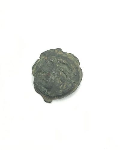 Gauloises. Carnutes Bronze au loup (Sch....