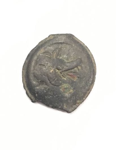 Gauloises. Bituriges Cubi Bronze à la tête...