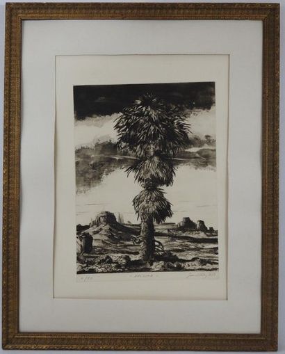 Gérard DIAZ (1938). Arizona. Lithographie....