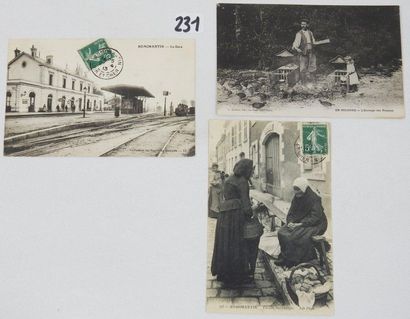 Sologne

La gare de Romorantin, l'élevage...