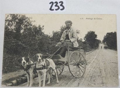 France

Attelage de chiens n°216

1 cpa
