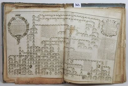 Theoderici Piespordii. Stemma, origo, res...