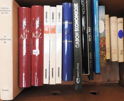 Divers. Dictionnaires Larousse, voyages,...