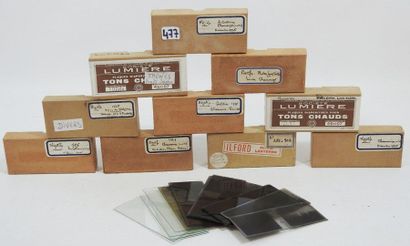 Lot de10 boites de plaques photos stereoscopiques...