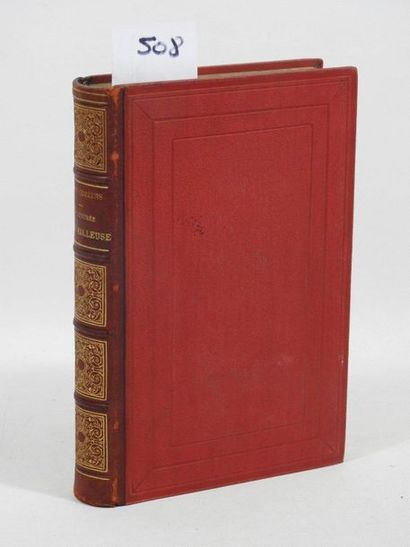 S. W. Cozzens. La contrée merveilleuse. Voyage...