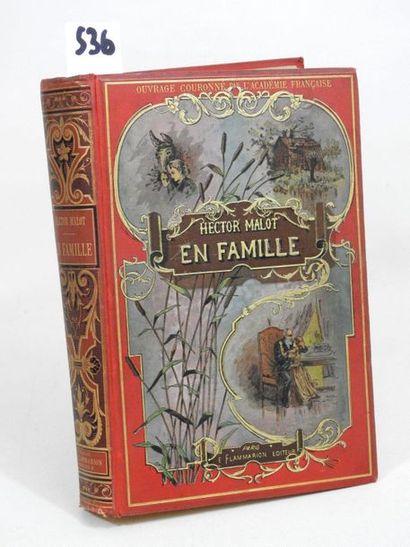 Hector MALOT - EN FAMILLE

Cartonnage éditeur,...