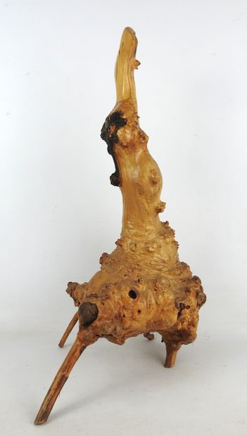OISEAU au long bec en bois de ronce sculpté...