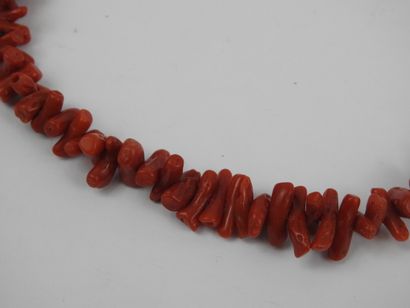 COLLIER composé de gros brins de corail rouge...