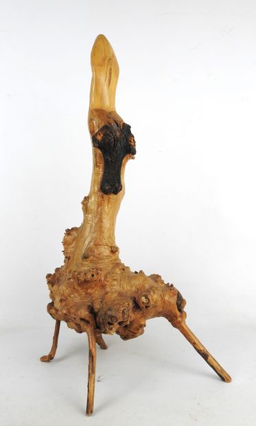 OISEAU au long bec en bois de ronce sculpté...