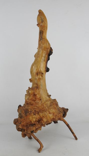 OISEAU au long bec en bois de ronce sculpté...