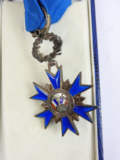 FRANCE. Lot divers, ordre national du mérite...