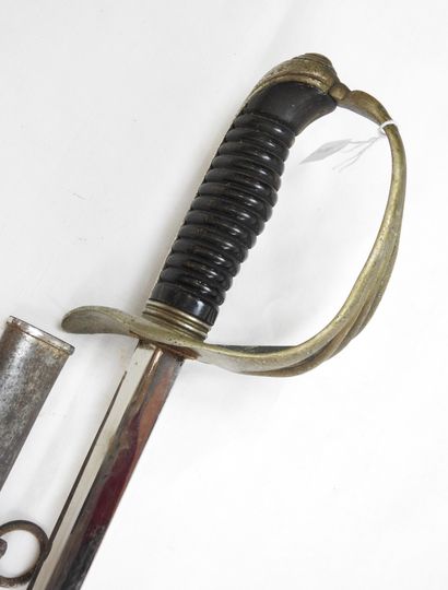 FRANCE. Sabre d'officier modèle 1882, fusée...