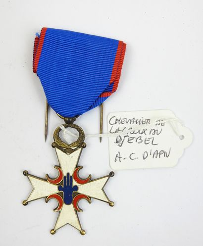FRANCE. Médaille de bronze du Djebel. BE