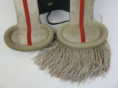 FRANCE. Paire d'épaulettes d'adjudant d'infanterie...