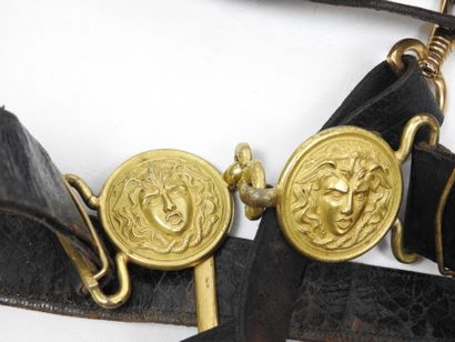 FRANCE. Sabre modèle 1855 de général de brigade,...
