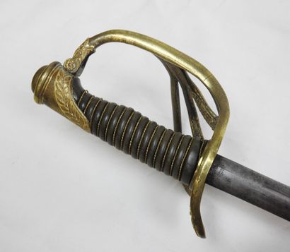 FRANCE. Sabre modèle 1855 de général de brigade,...