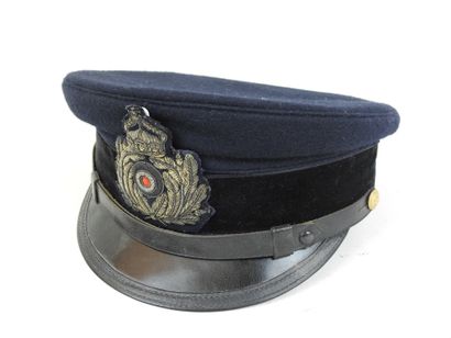 ALLEMAGNE. Casquette d'officier médecin de...
