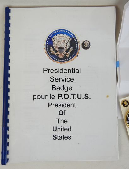 
ETATS-UNIS. Insigne officiel des services...