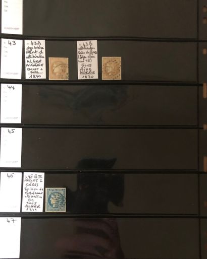 1 collection de 14 pages recto/verso avec...