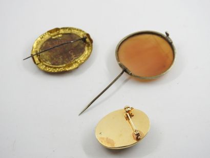 Oval brooch in gilded metal in oval plate...
