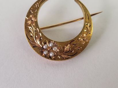 Brooch crescent moon in 18K yellow gold (750°/°°)...