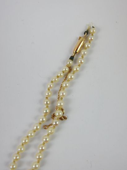 NECKLACE of pearls in fall, clasp in yellow...