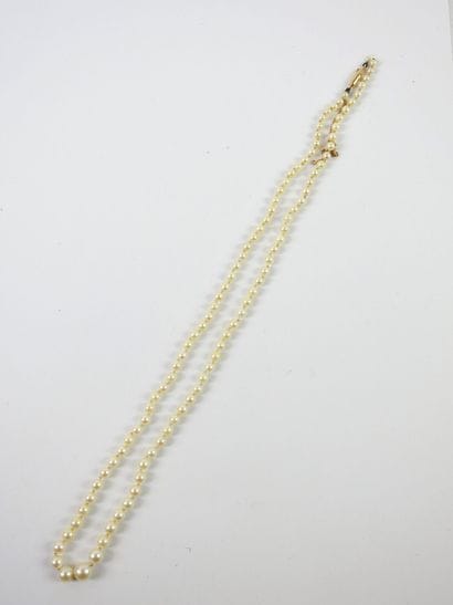 NECKLACE of pearls in fall, clasp in yellow...