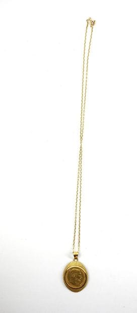CHAIN and pendant in gold 750 thousandths...