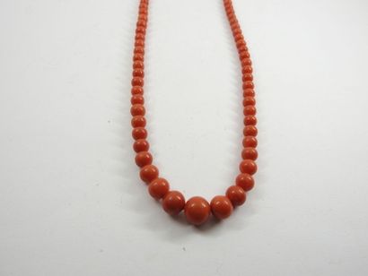 NECKLACE of coral pearls in falls, clasp...