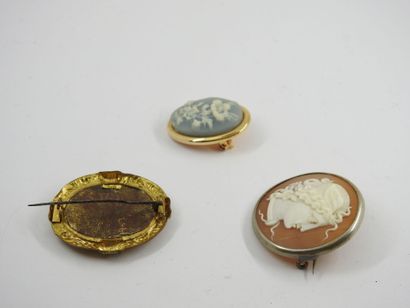 Oval brooch in gilded metal in oval plate...
