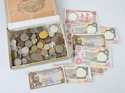 LOT of World Coins in bulk in a Belinda cigar...