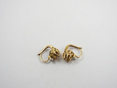 Earrings in yellow gold 750 thousandths,...