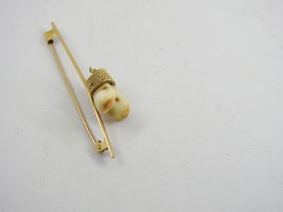 BROCHURE in yellow gold holding deer fangs....