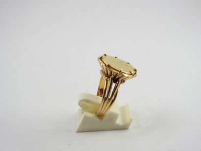 HORSE in yellow gold 750 thousandths, Egyptian...