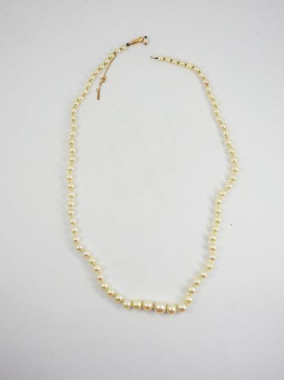 Necklace of pearls of culture in fall, clasp...
