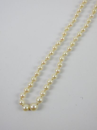 NECKLACE of pearls in fall, clasp in yellow...