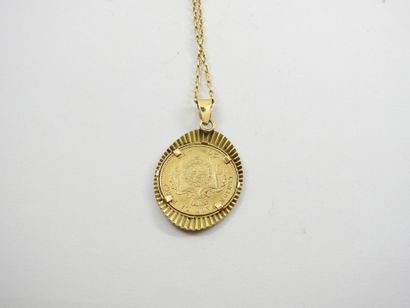 CHAIN and pendant in gold 750 thousandths...