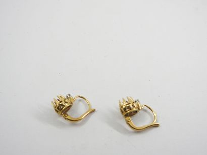 Earrings in yellow gold 750 thousandths,...