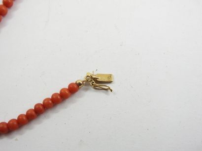 NECKLACE of coral pearls in falls, clasp...