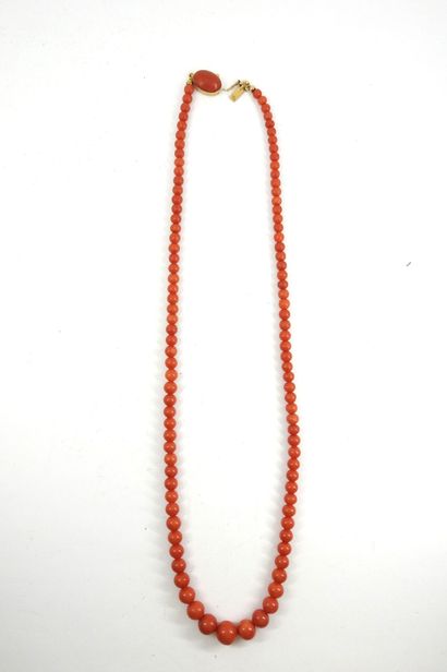 NECKLACE of coral pearls in falls, clasp...