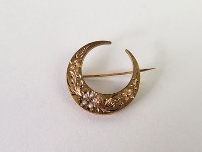 Brooch crescent moon in 18K yellow gold (750°/°°)...