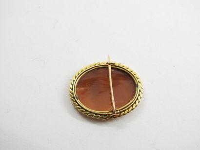Yellow gold pin 750 thousandths decorated...