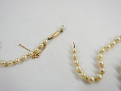 Necklace of pearls of culture in fall, clasp...