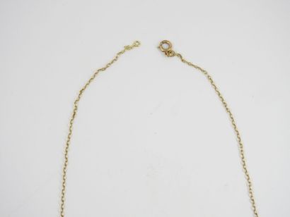 CHAIN in yellow gold 750 thousandth. Length:...