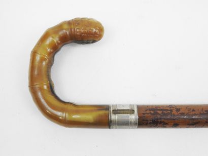 FRANCE. CANNES. Cane-rifle with system mechanism...